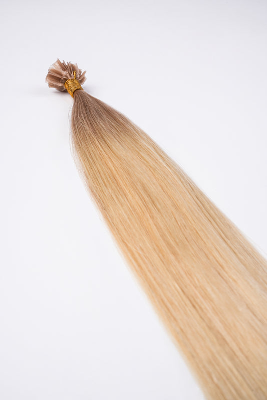 Bonding Extensions Aschblonder Ansatz mit Übergang ins helle Blond