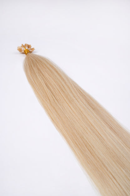 Bonding Extensions - Hellblond