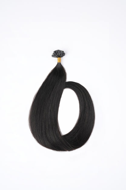 Bonding Extensions - Schwarz