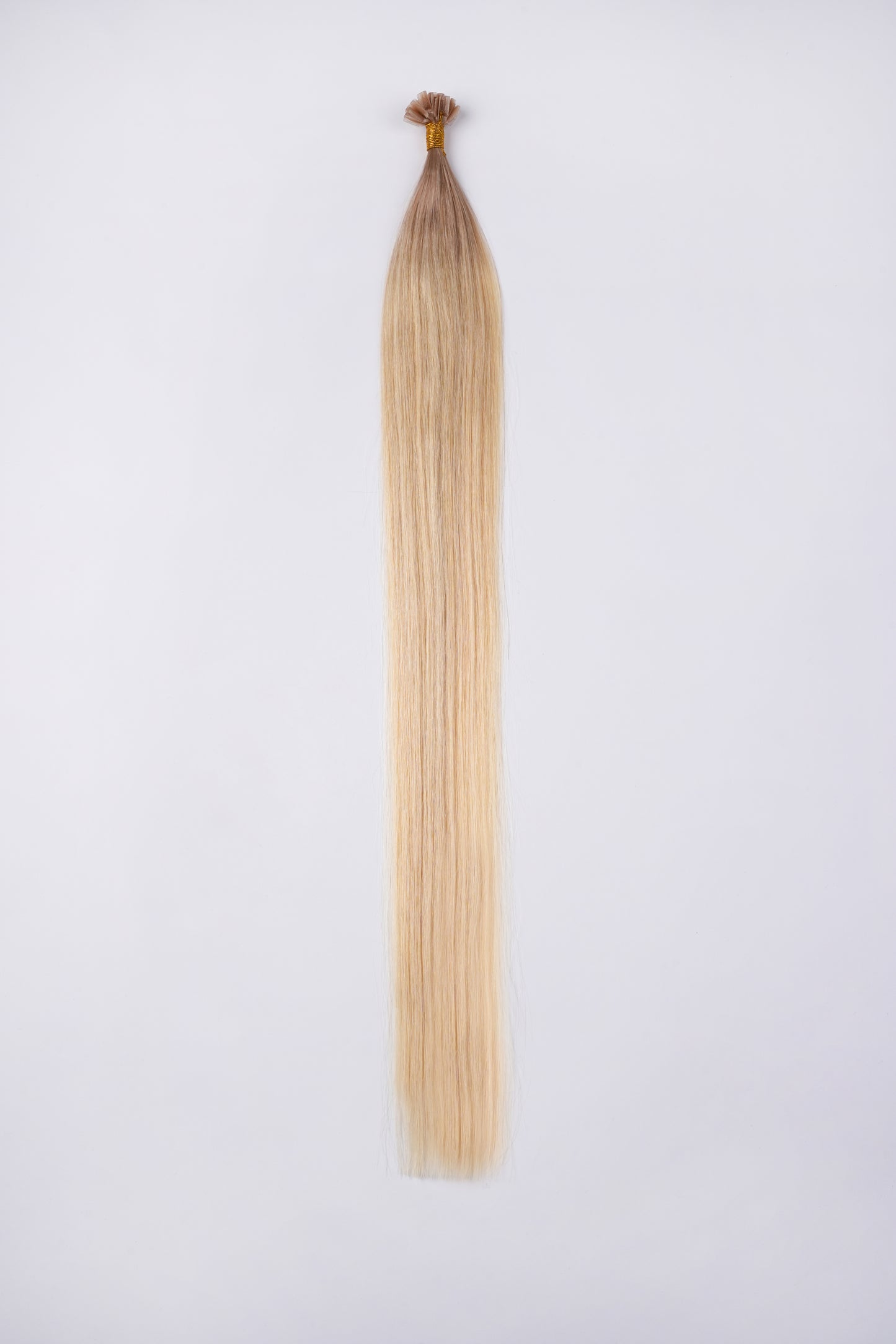 Bonding Extensions Aschblonder Ansatz mit Übergang ins helle Blond