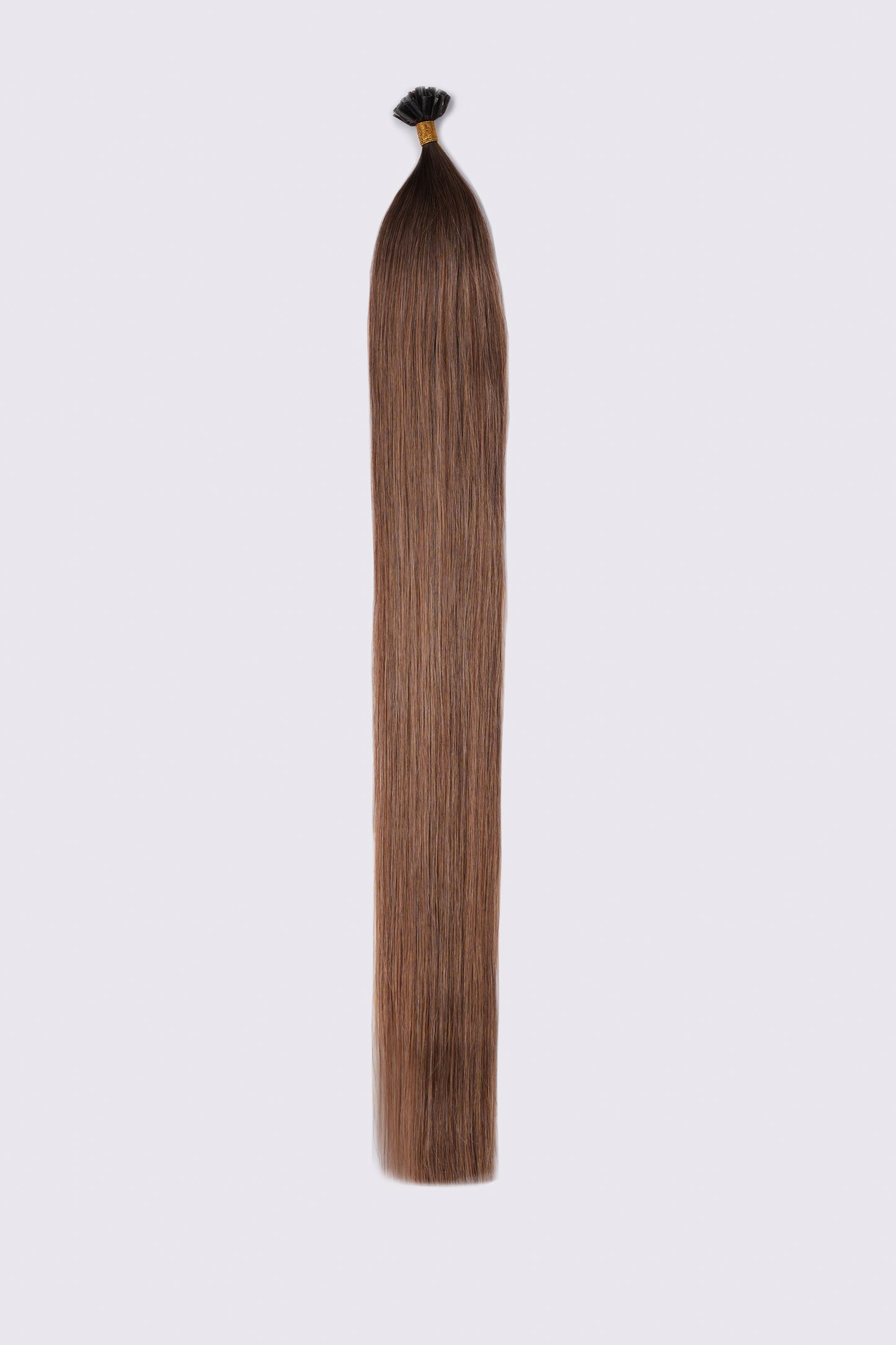 Bonding Extensions Dunkelbrauner Ansatz mit Übergang in Hellbraun