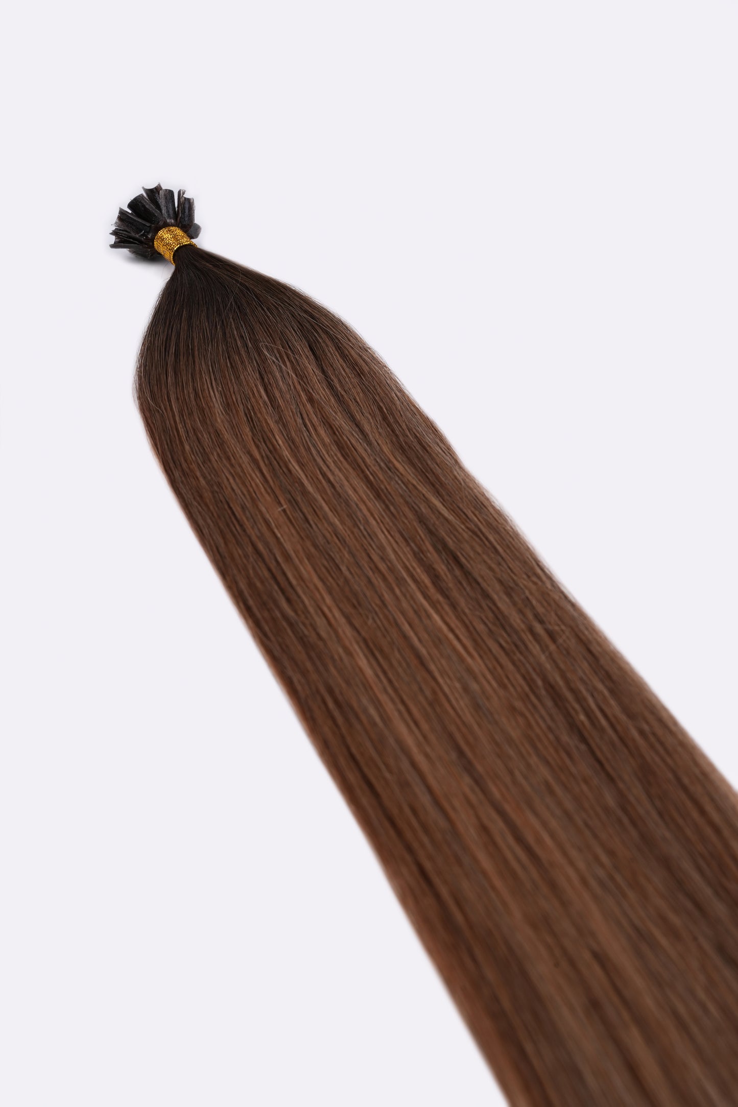 Bonding Extensions Dunkelbrauner Ansatz mit Übergang in Hellbraun